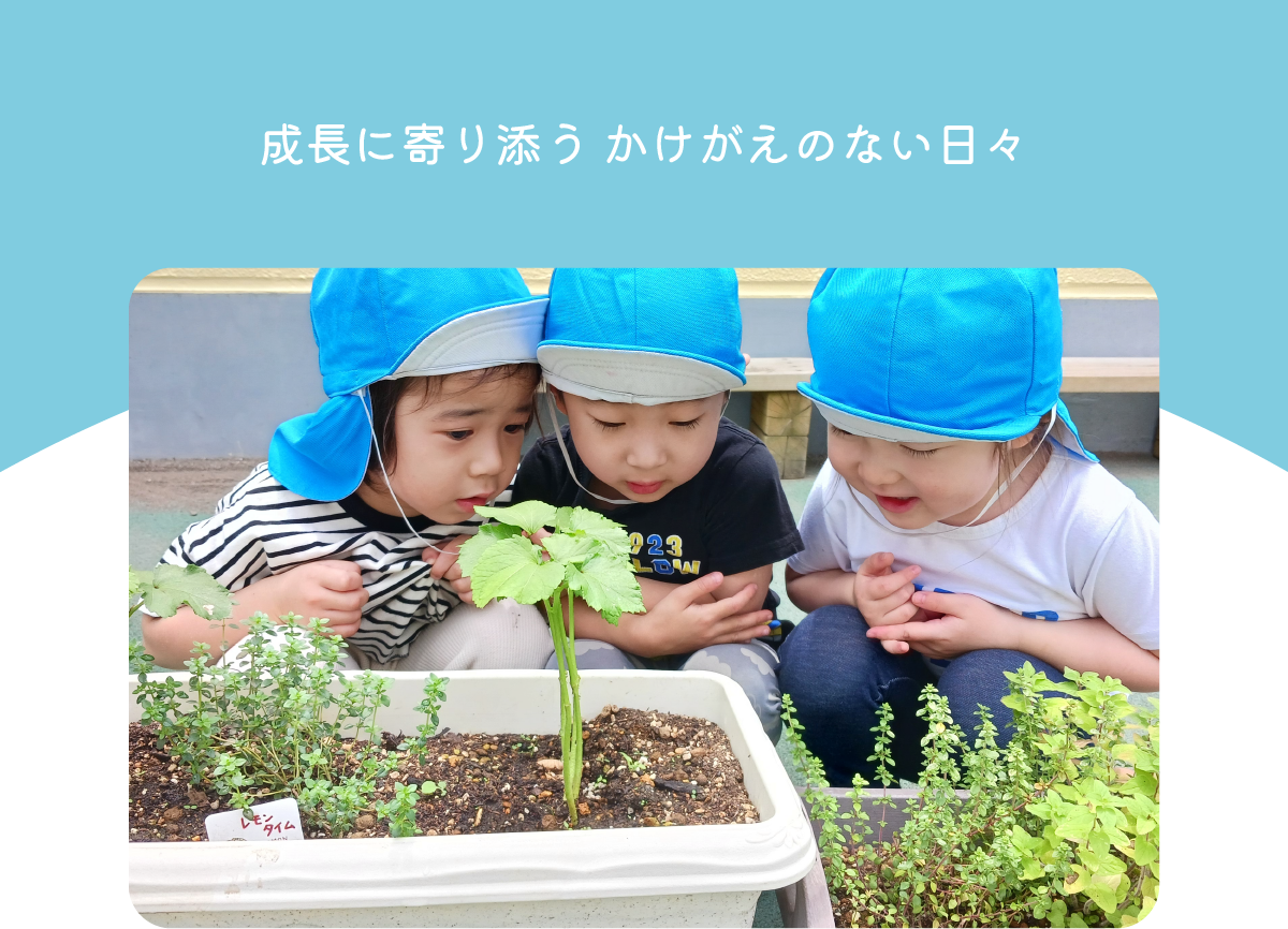 PC用こどもたち