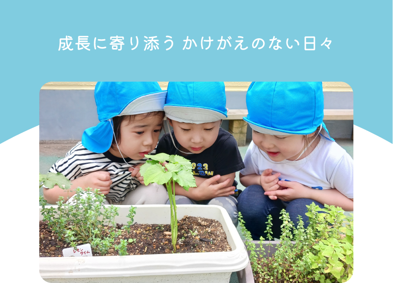 スマホ用こどもたち